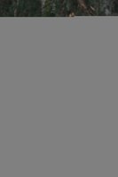 Jennifer Garner mug #G1310424