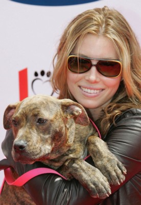 Jessica Biel posters