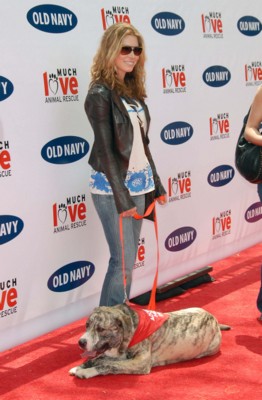 Jessica Biel posters