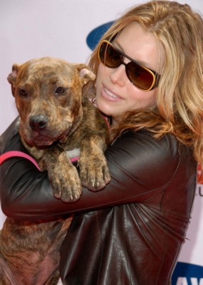 Jessica Biel posters