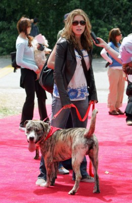 Jessica Biel posters