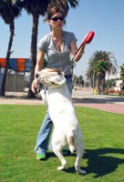 Jessica Biel longsleeve t-shirt #1429999