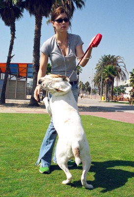 Jessica Biel posters