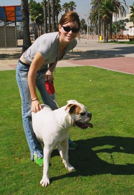 Jessica Biel posters