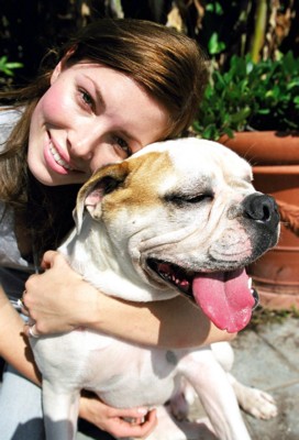 Jessica Biel posters