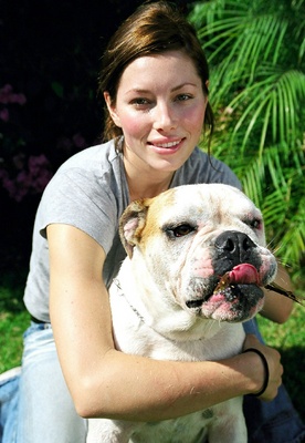 Jessica Biel posters