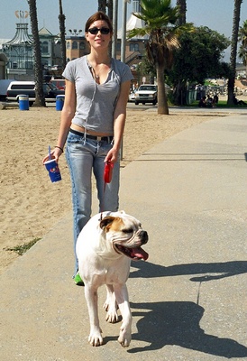 Jessica Biel posters