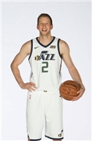 Joe Ingles t-shirt #3408606