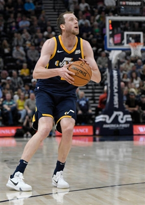 Joe Ingles puzzle 3408633