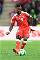 Johan Djourou Sweatshirt #3343445