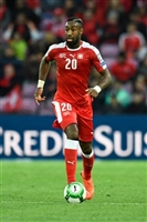 Johan Djourou Sweatshirt #3343446
