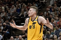 Jonas Jerebko hoodie #3412272