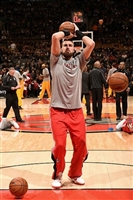 Jonas Valanciunas Longsleeve T-shirt #3453051