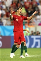 Jose Fonte mug #G1586332