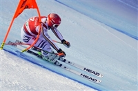 Josef Ferstl mug #G2260242