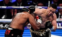 Joseph Parker t-shirt #3599773