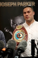 Joseph Parker Sweatshirt #3599799