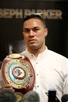 Joseph Parker Sweatshirt #3599828