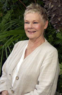 Judi Dench canvas poster