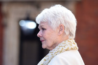 Judi Dench Longsleeve T-shirt #3070985