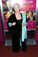 Judi Dench mug #G1313089