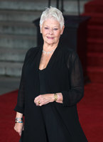 Judi Dench hoodie #3071072