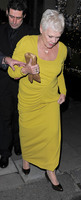 Judi Dench Sweatshirt #3071229