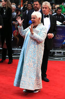 Judi Dench Longsleeve T-shirt #3071359