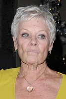 Judi Dench t-shirt #3071479
