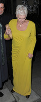 Judi Dench Tank Top #3071500