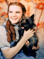 Judy Garland tote bag #G828921