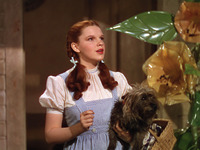 Judy Garland mug #G829154