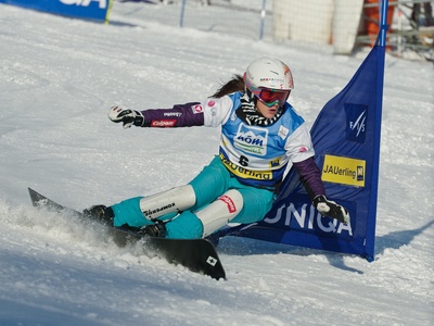Julia Dujmovits posters