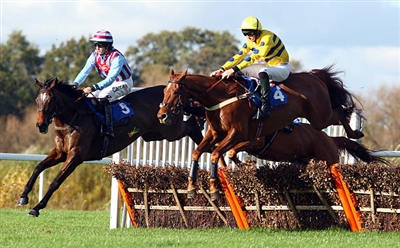 Julian Williams posters