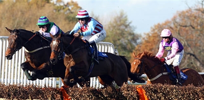 Julian Williams posters