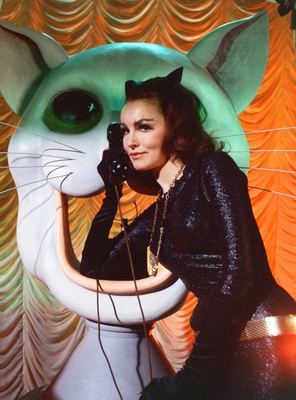 Julie Newmar posters