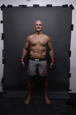Junior Dos Santos posters