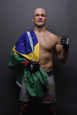 Junior Dos Santos posters