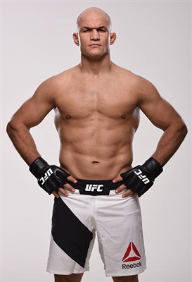 Junior Dos Santos posters
