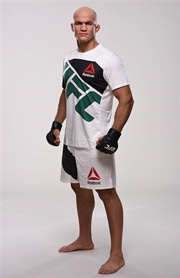 Junior Dos Santos posters
