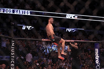 Junior Dos Santos posters