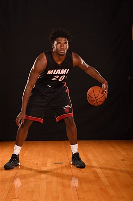 Justise Winslow Poster 3458497