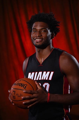 Justise Winslow Poster 3458630