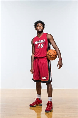 Justise Winslow puzzle 3458654