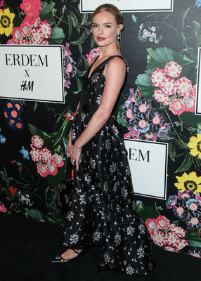 Kate Bosworth posters