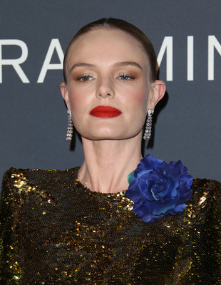 Kate Bosworth posters