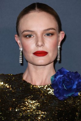 Kate Bosworth posters