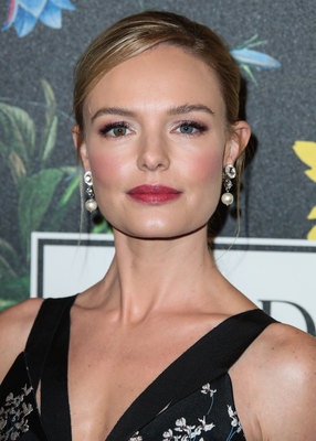 Kate Bosworth posters