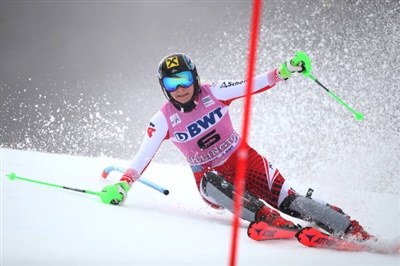 Katharina Gallhuber posters