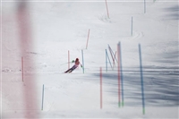 Katharina Gallhuber Tank Top #3641421